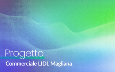 Commerciale LIDL Magliana